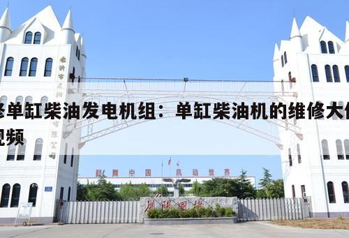 修單缸柴油發電機組：單缸柴油機的維修大修視頻 